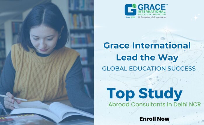 Study Abroad Consultant