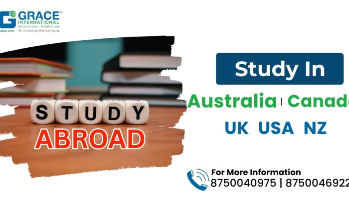 study abroad