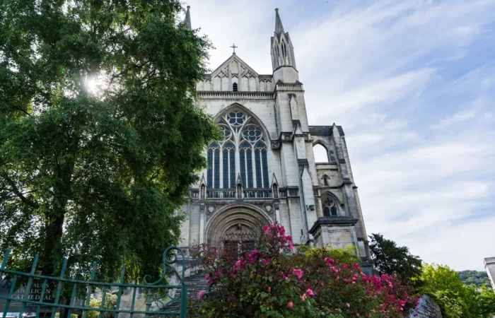 Study in New Zealand